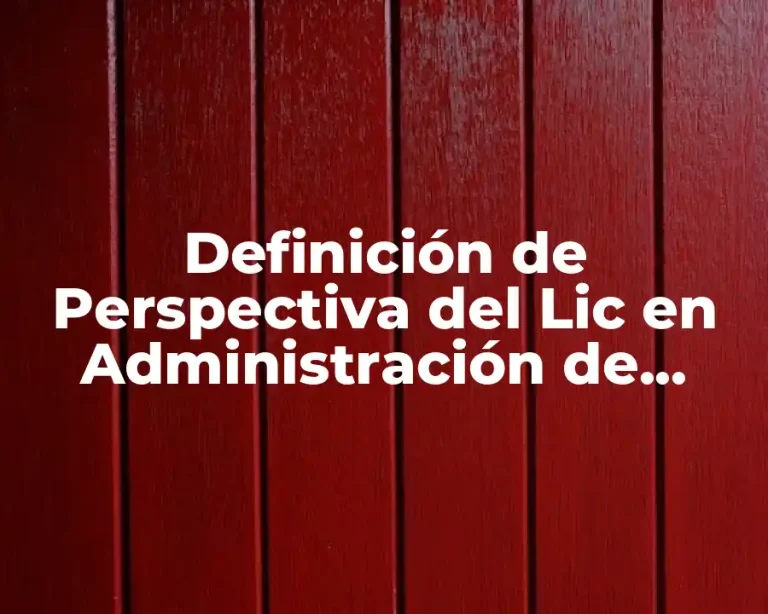 Definición de Perspectiva del Lic en Administración de Empresas