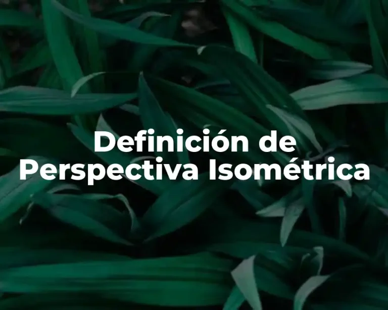 Definición de Perspectiva Isométrica