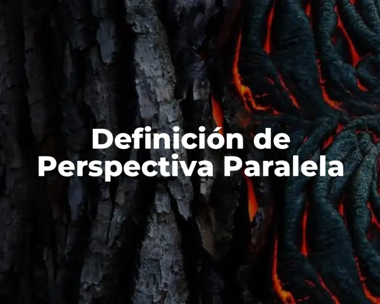 Definición de Perspectiva Paralela