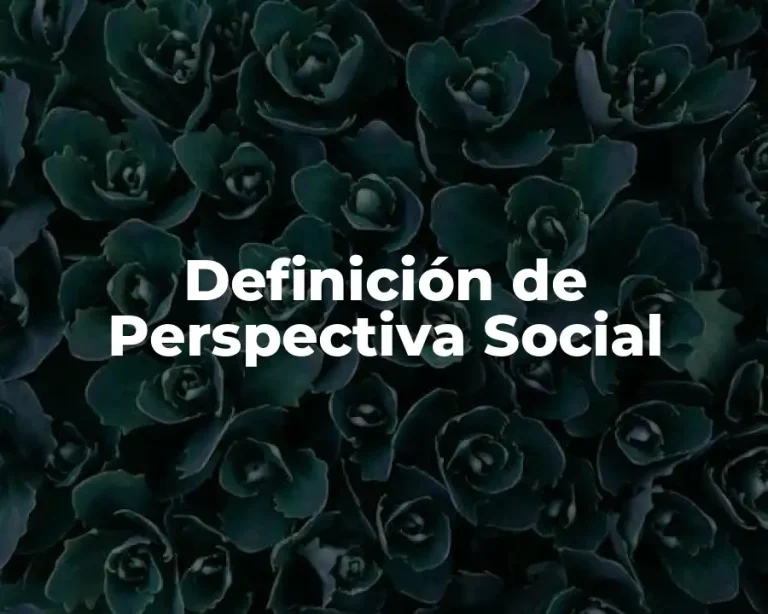 Definición de Perspectiva Social