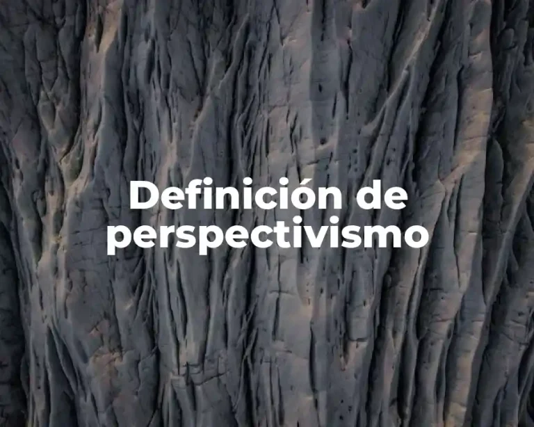 Definición de perspectivismo