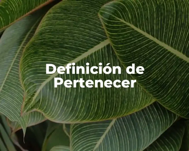 Definición de Pertenecer