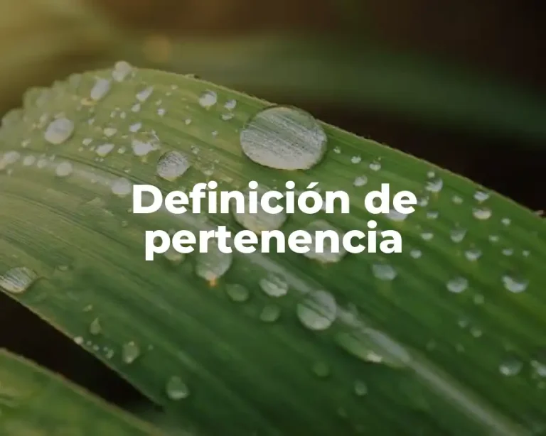 Definición de pertenencia