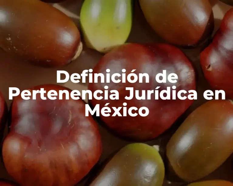 Definición de Pertenencia Jurídica en México