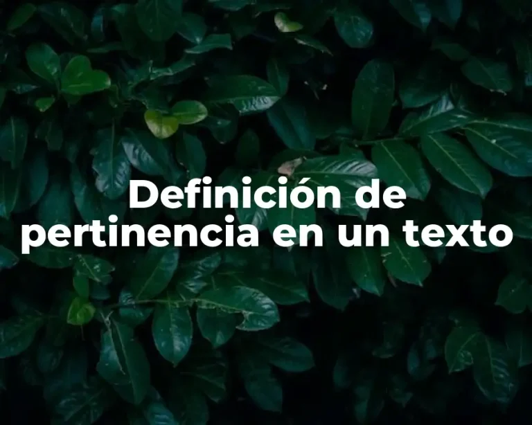 Definición de pertinencia en un texto