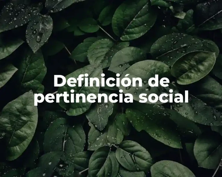 Definición de pertinencia social
