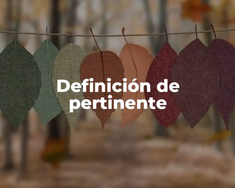 Definición de pertinente