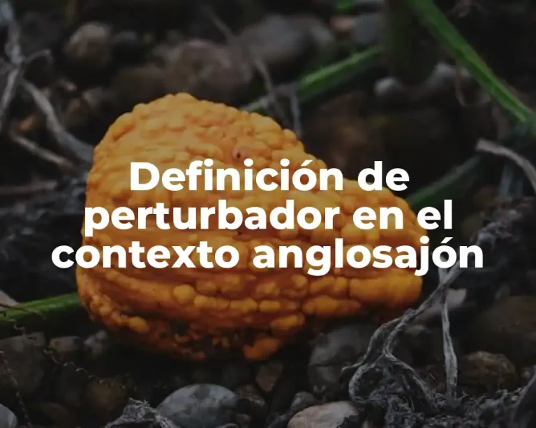 Definición de perturbador en el contexto anglosajón