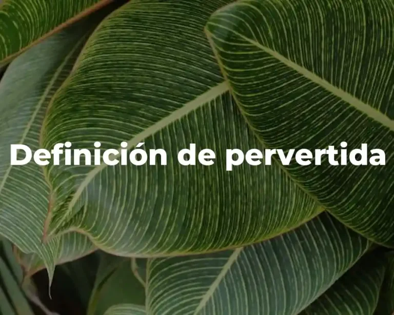 Definición de pervertida