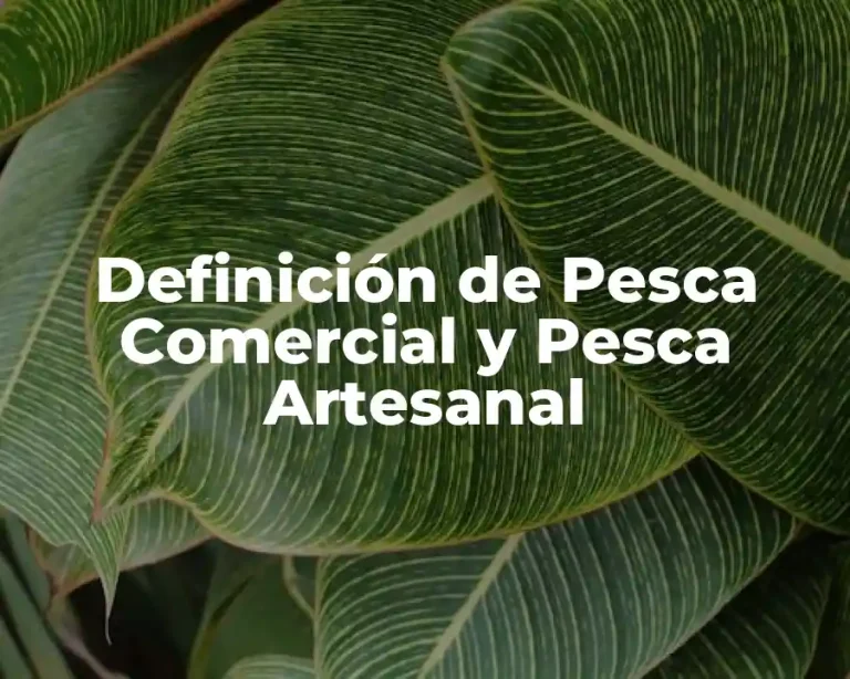 Definición de Pesca Comercial y Pesca Artesanal