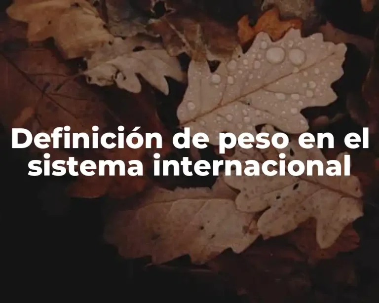 Definición de peso en el sistema internacional