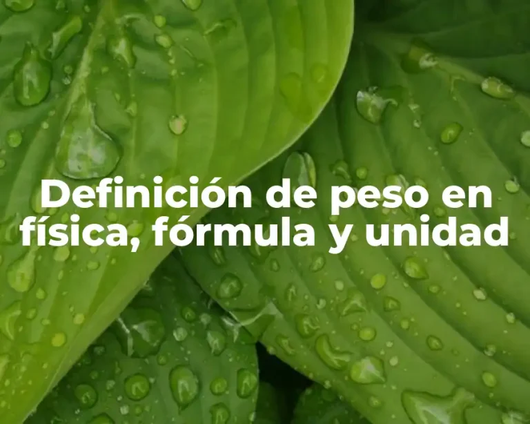 Definición de peso en física, fórmula y unidad