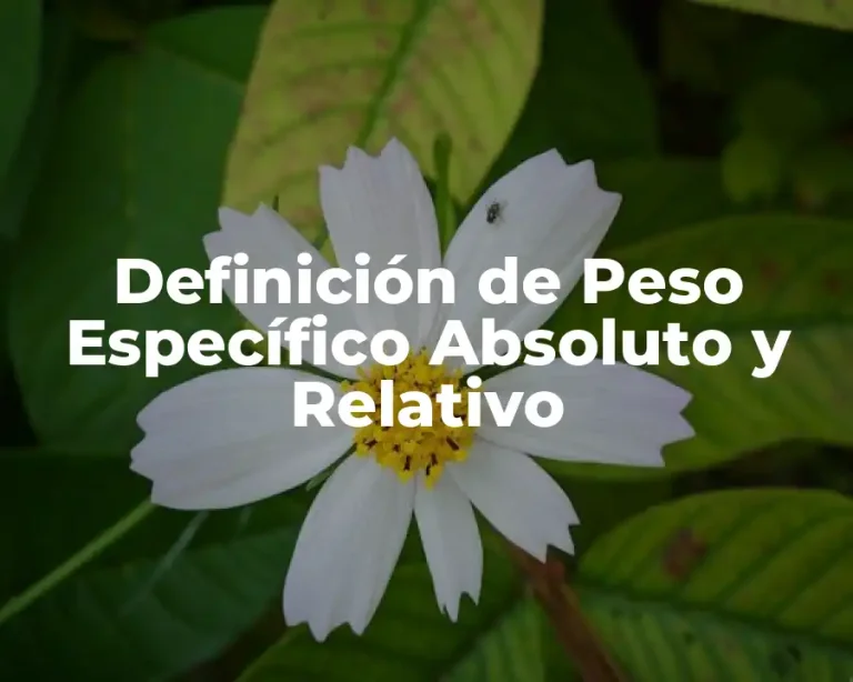 Definición de Peso Específico Absoluto y Relativo