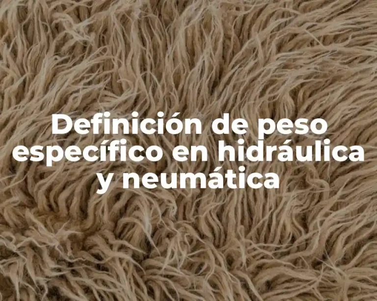 Definición de peso específico en hidráulica y neumática