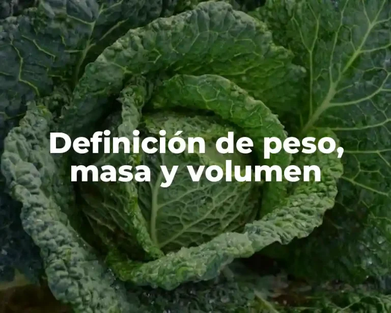 Definición de peso, masa y volumen