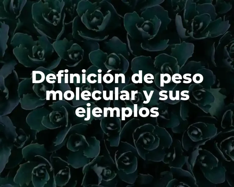 Definición de peso molecular y sus ejemplos
