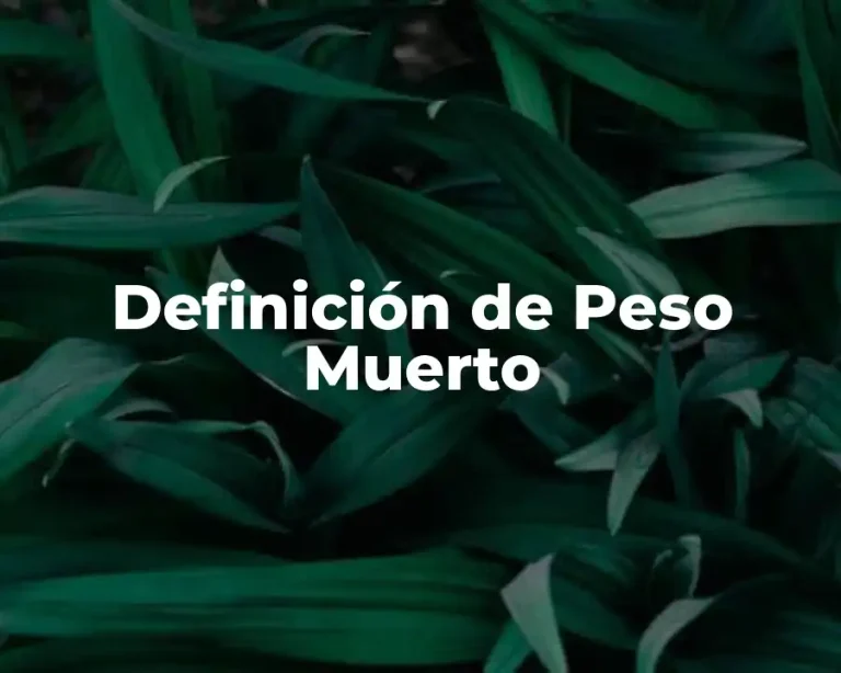 Definición de Peso Muerto