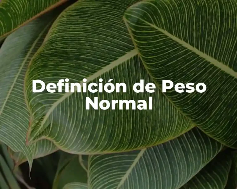 Definición de Peso Normal