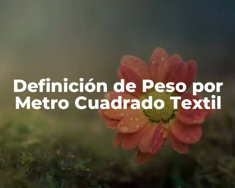 Definición de Peso por Metro Cuadrado Textil