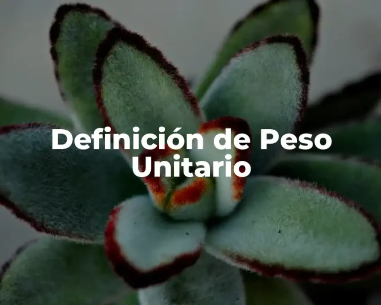 Definición de Peso Unitario
