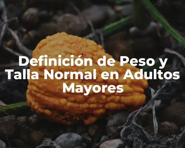 Definición de Peso y Talla Normal en Adultos Mayores