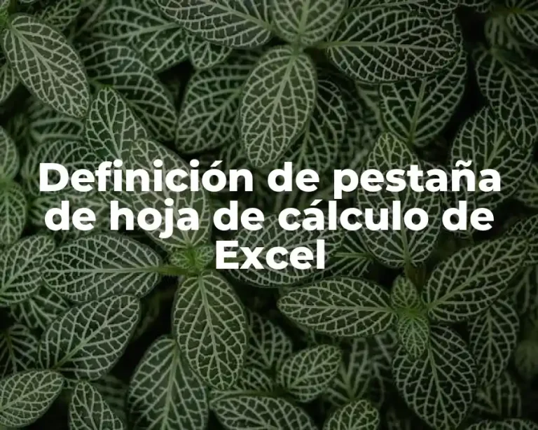 Definición de pestaña de hoja de cálculo de Excel