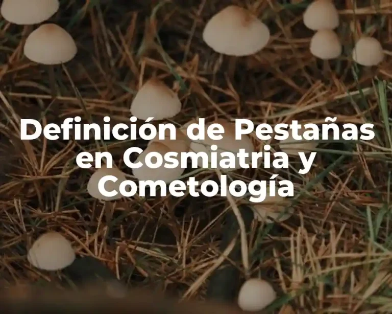 Definición de Pestañas en Cosmiatria y Cometología