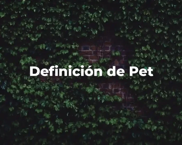 Definición de Pet