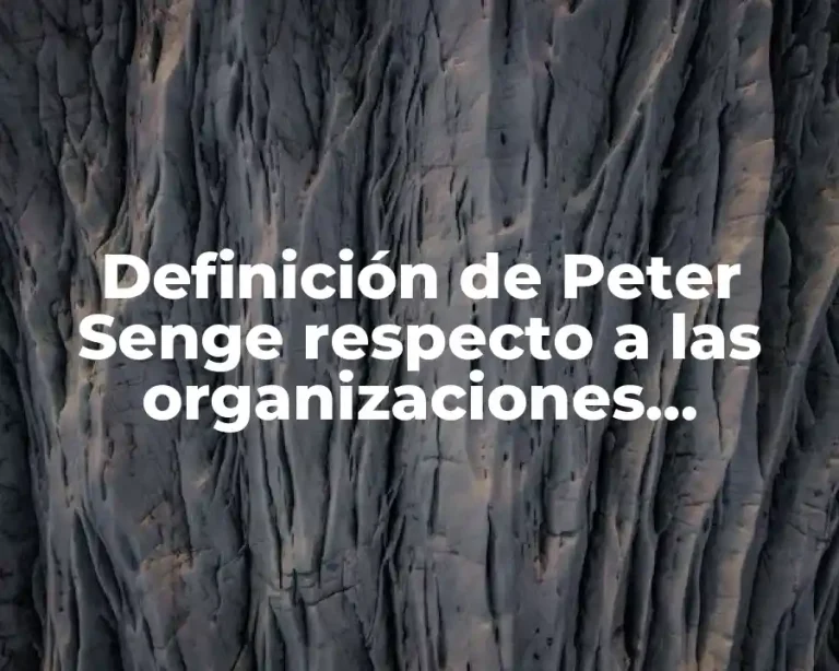 Definición de Peter Senge respecto a las organizaciones inteligentes