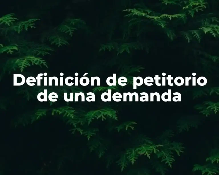 Definición de petitorio de una demanda