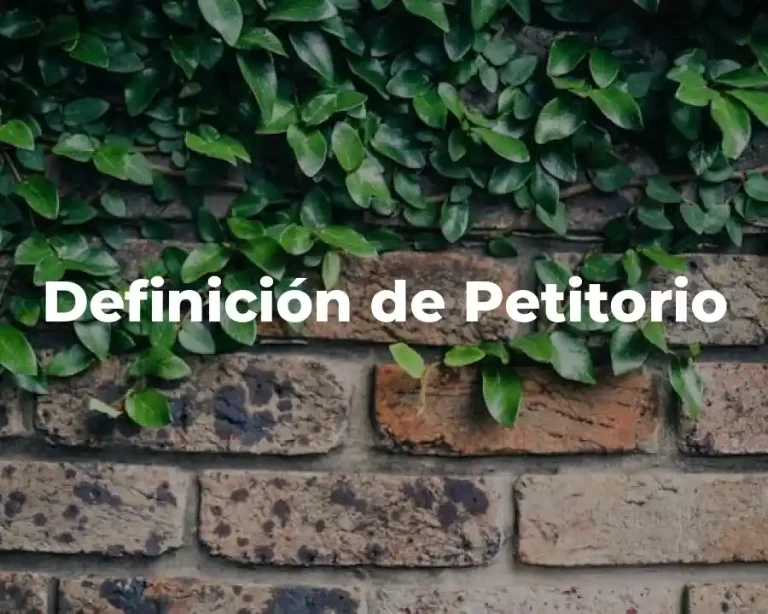 Definición de Petitorio