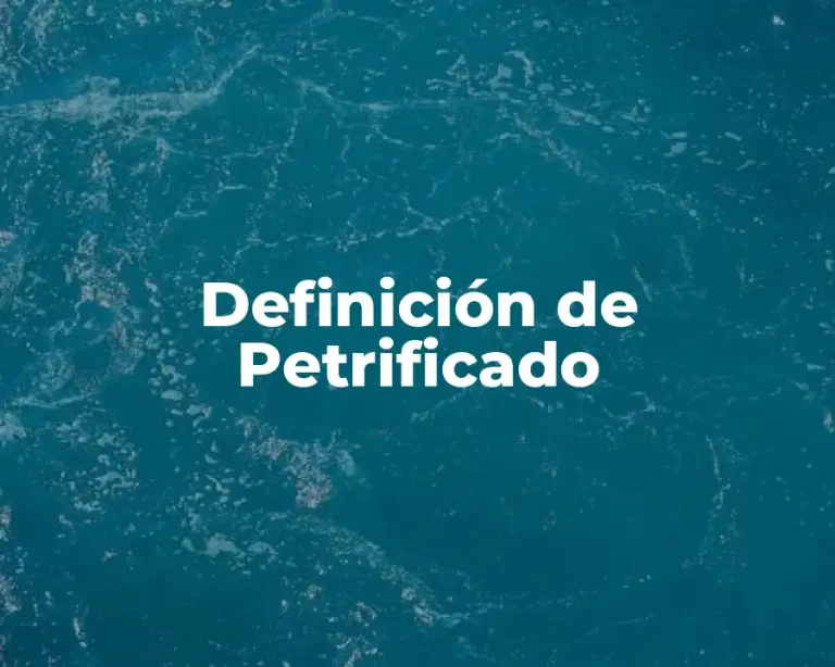Definición de Petrificado