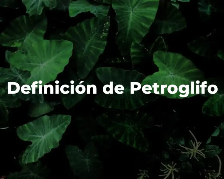 Definición de Petroglifo