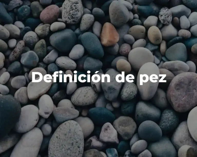 Definición de pez