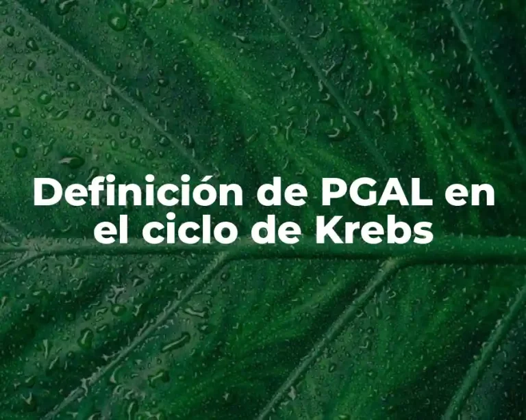 Definición de PGAL en el ciclo de Krebs