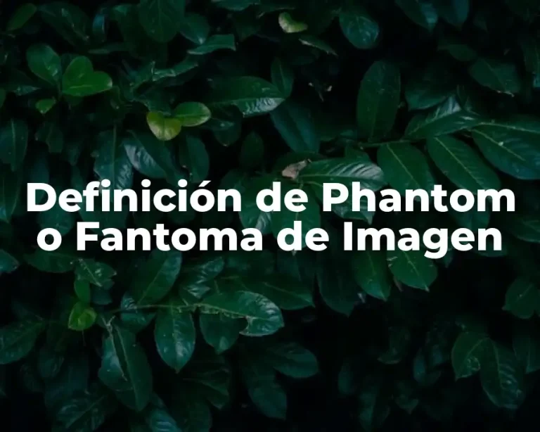 Definición de Phantom o Fantoma de Imagen