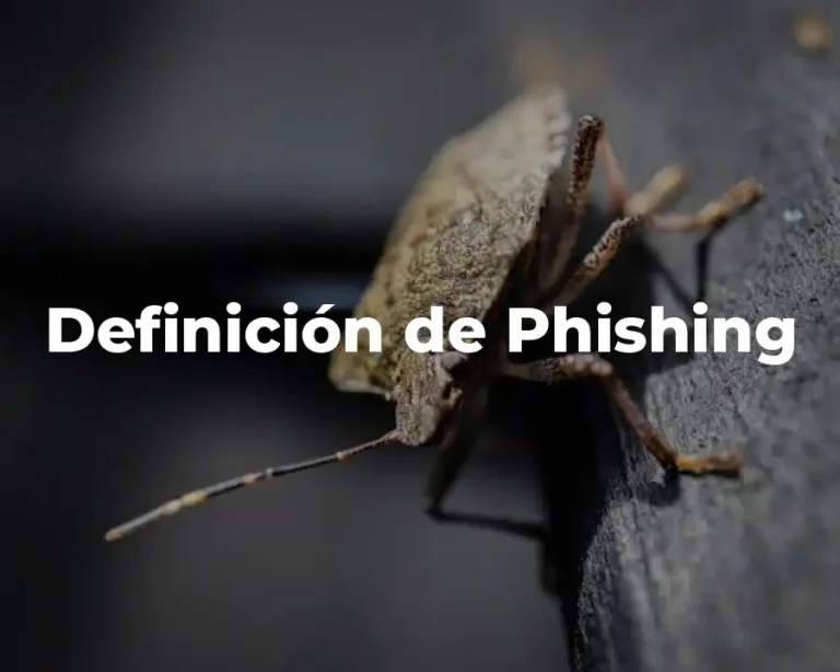 Definición de Phishing