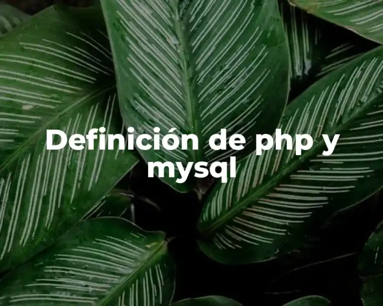 Definición de php y mysql