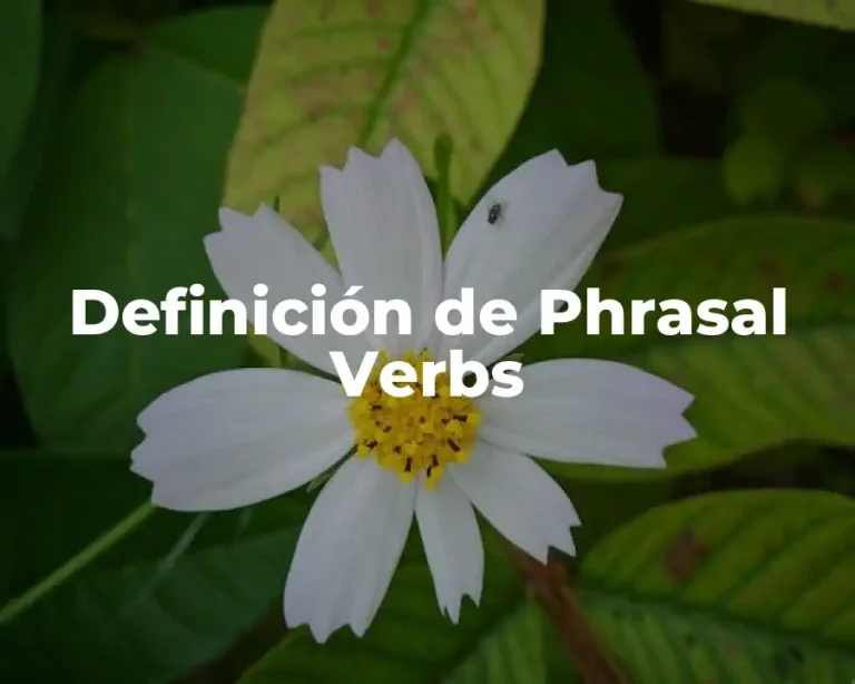 Definición de Phrasal Verbs