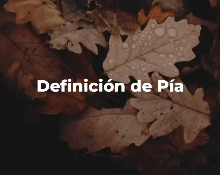 Definición de Pía