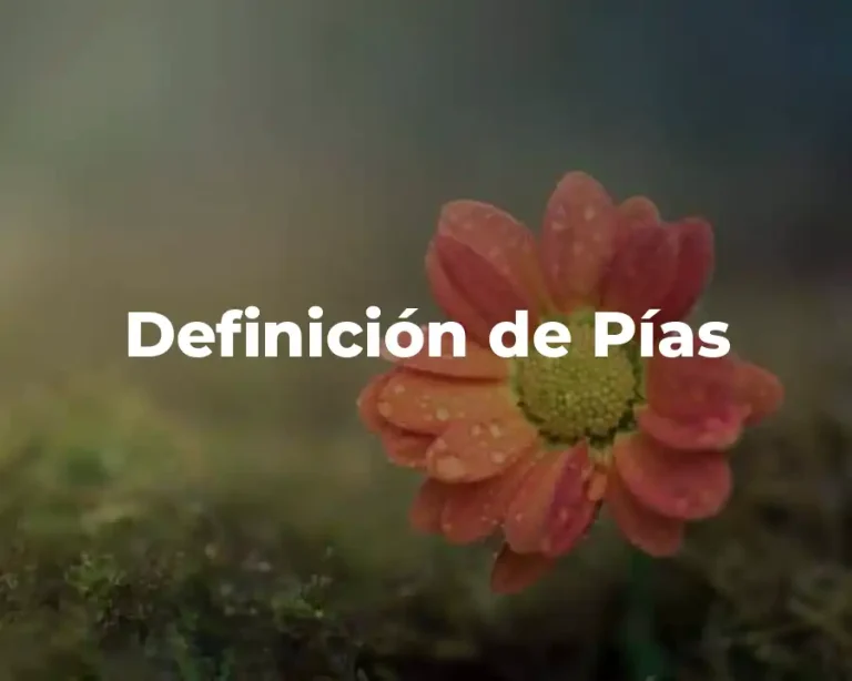 Definición de Pías