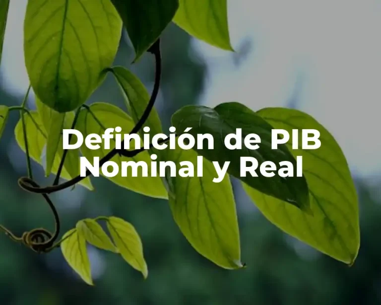 Definición de PIB Nominal y Real