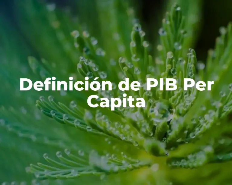 Definición de PIB Per Capita