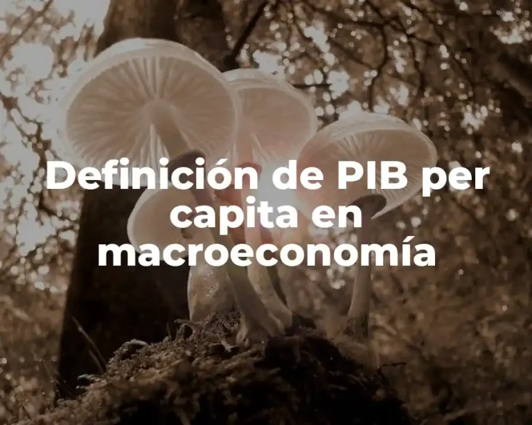 Definición de PIB per capita en macroeconomía
