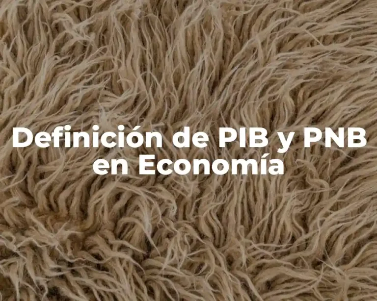 Definición de PIB y PNB en Economía