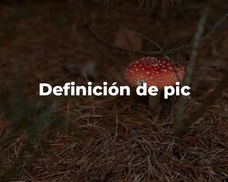Definición de pic
