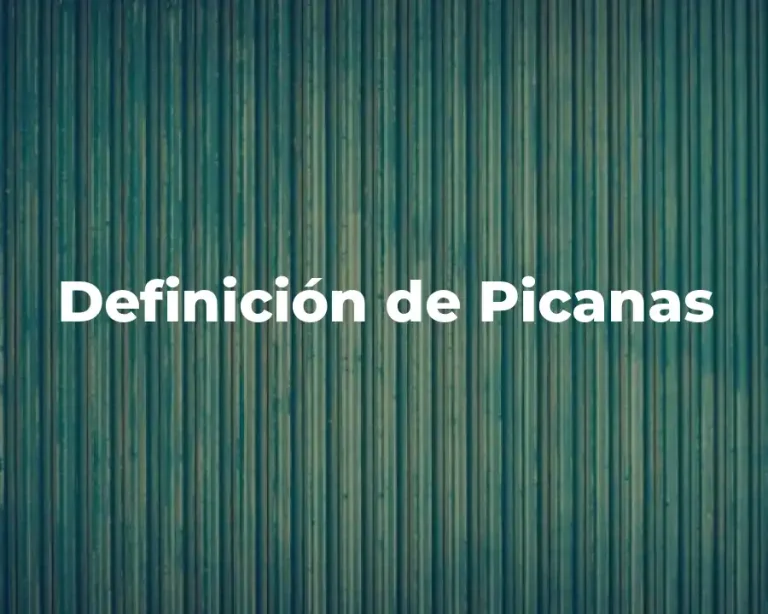 Definición de Picanas