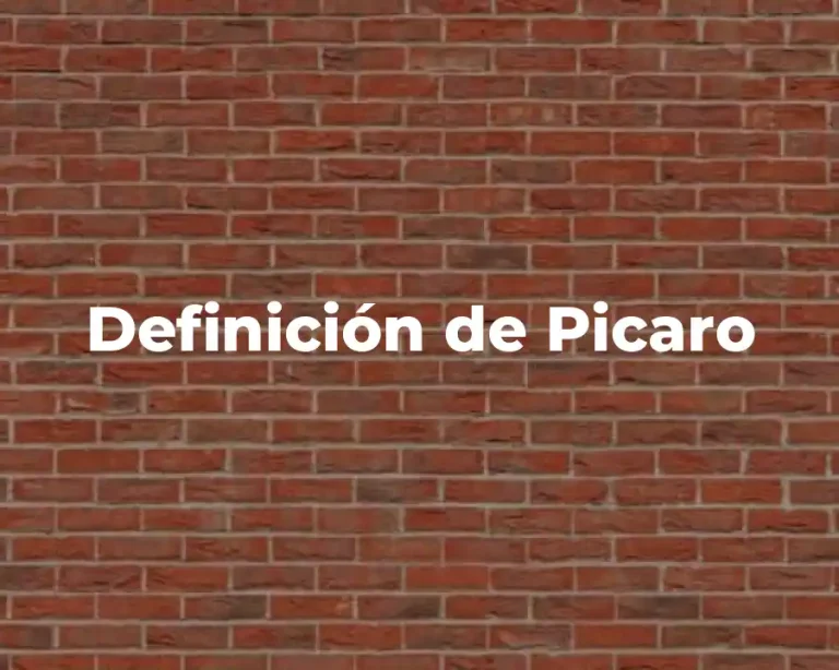 Definición de Picaro