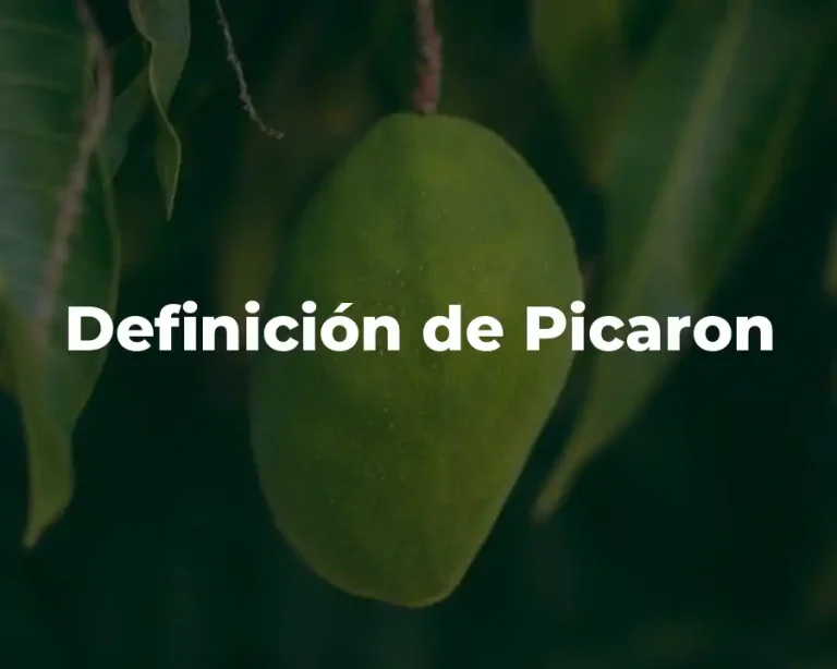 Definición de Picaron