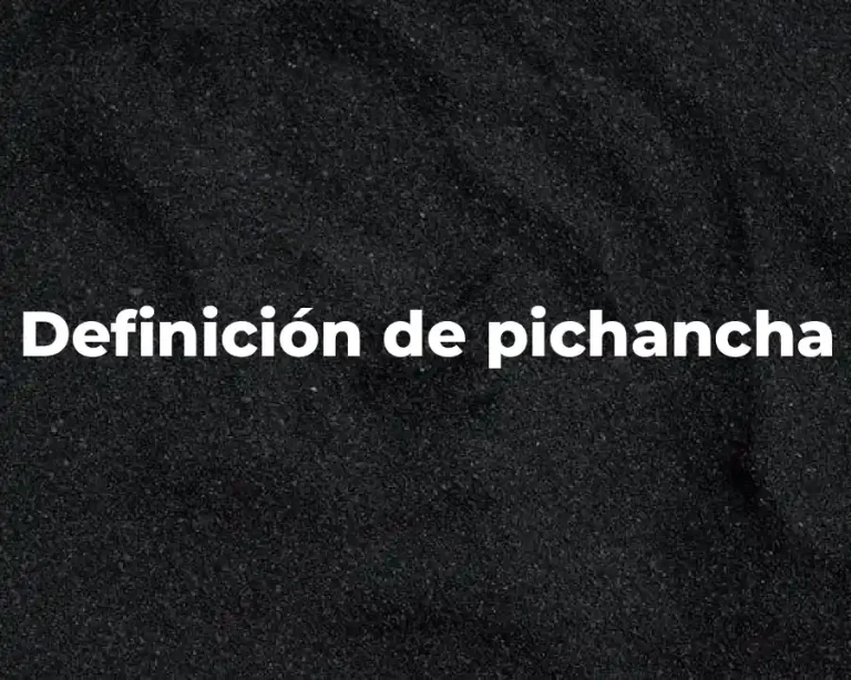 Definición de pichancha